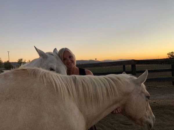 Local horse sanctuary unveils new immersive tour experience