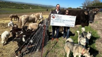 Paso Robles Elks Lodge donates to local animal sanctuary