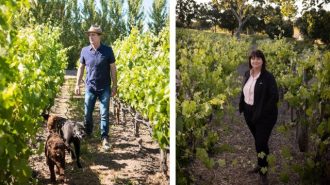 99.9 percent of its fruit supply now comes from sustainably grown vineyard blocks
