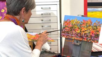 Studios on the Park hosting weekend of live art demos