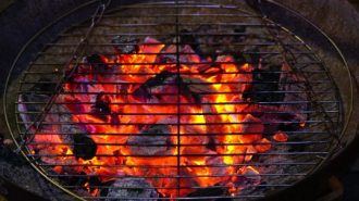 barbecue stock img