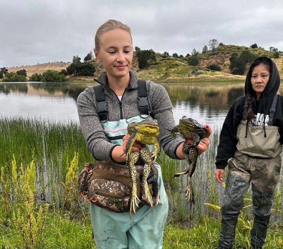 Conservation efforts enhance habitat for endangered toad at Fort Hunter Ligget