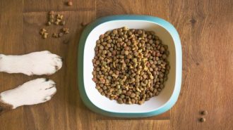 Humane society hosting pet food donation drive