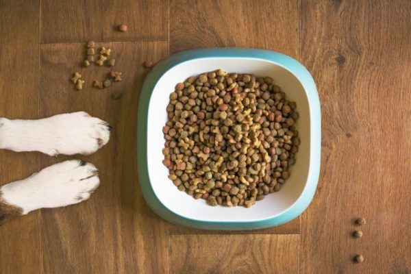 Humane society hosting pet food donation drive