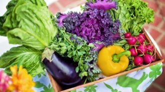 Learn how to grow your best garden at upcoming workshop