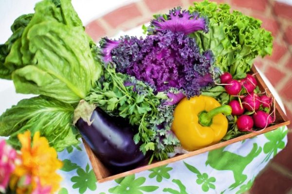 Learn how to grow your best garden at upcoming workshop