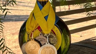 Paso Robles farm scores big at olive oil contest for fifth straight year