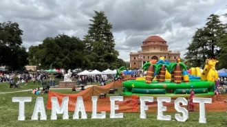 tamale fest
