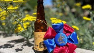 Home brew competition results announced