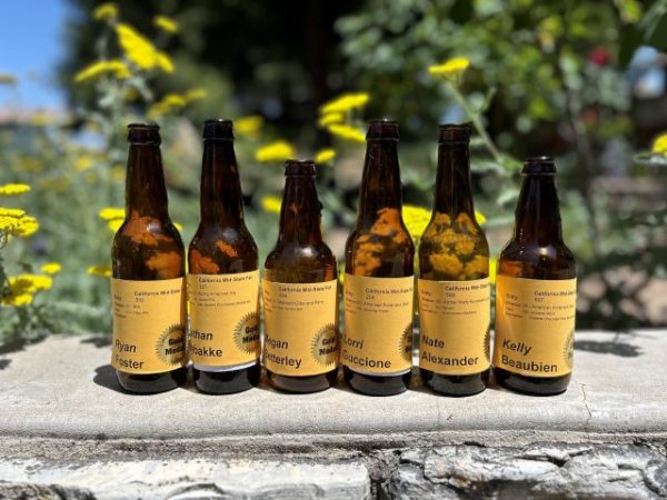Home brew competition results announced