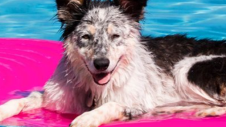 City shares tips on how to drain your pool and why it matters