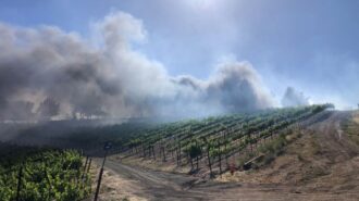 Firefighters extinguish multiple blazes in North County Tuesday