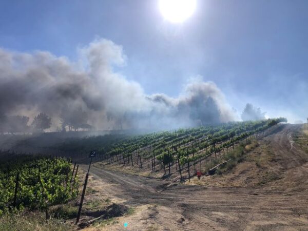 Firefighters extinguish multiple blazes in North County Tuesday
