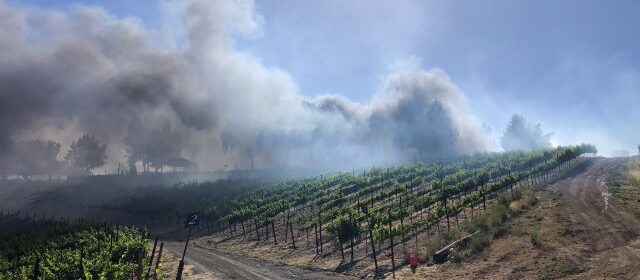 Firefighters extinguish multiple blazes in North County Tuesday