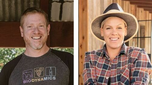 Alecia Moore aka Pink to discuss winemaking on Instagram