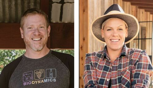 Alecia Moore aka Pink to discuss winemaking on Instagram