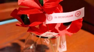 Library giving away poppies to honor veterans