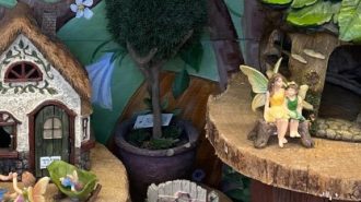 Three-day fairy themed event coming to Cambria Nursery