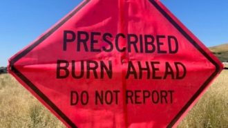 Planned burn operations start today at Camp Roberts
