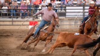 Tickets on sale for Country Rodeo Finals, Monster Truck Madness