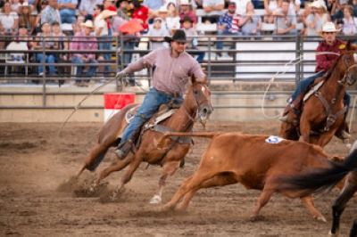 Tickets on sale for Country Rodeo Finals, Monster Truck Madness