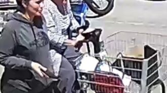 Authorities seeking help identifying theft suspects