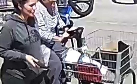 Authorities seeking help identifying theft suspects