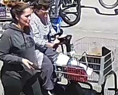 Authorities seeking help identifying theft suspects