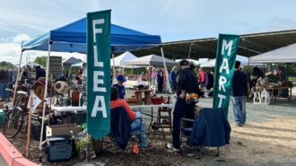 Templeton Library's Flea and Maker’s Market returns