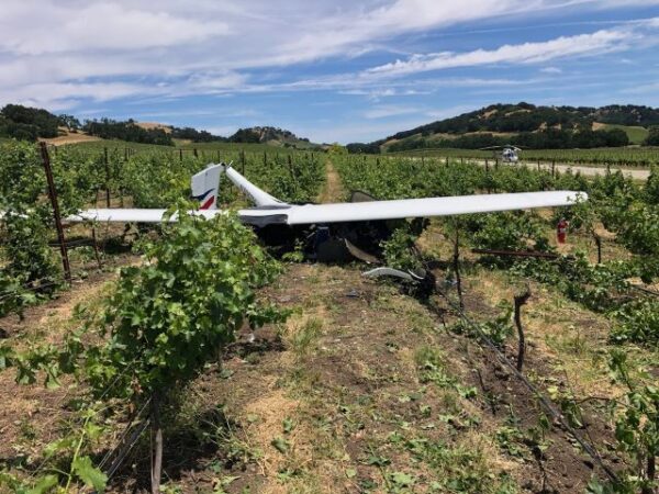Small aircraft crashes in Paso Robles vineyard