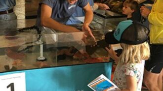 Library hosts youth performances every Wednesday