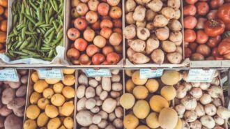 Get help applying for food aid at the Paso Robles City Library
