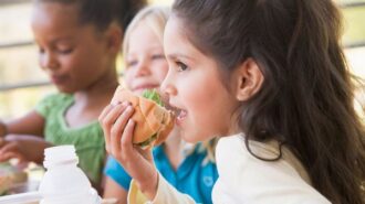 Library offering free lunch Mondays, Wednesdays, and Fridays through Aug. 9