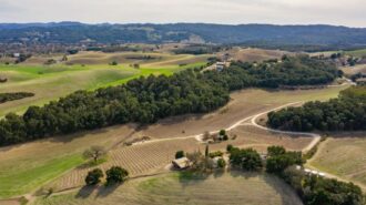 Paso Robles vineyard estate listed on market for $3 million