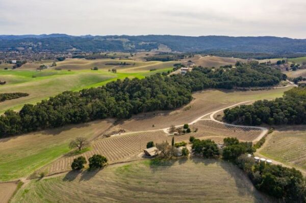 Paso Robles vineyard estate listed on market for $3 million