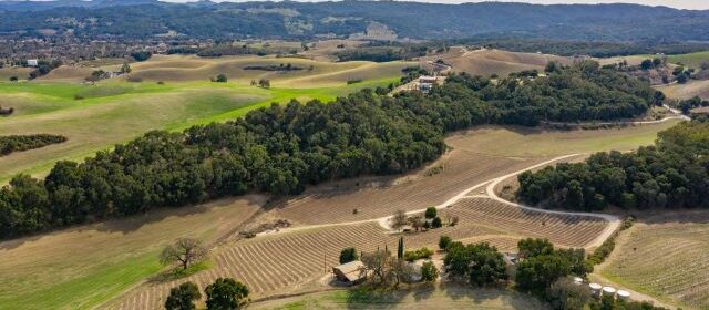 Paso Robles vineyard estate listed on market for $3 million
