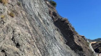 closure rock net grade