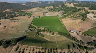 Vineyard estate in Paso Robles hits the market