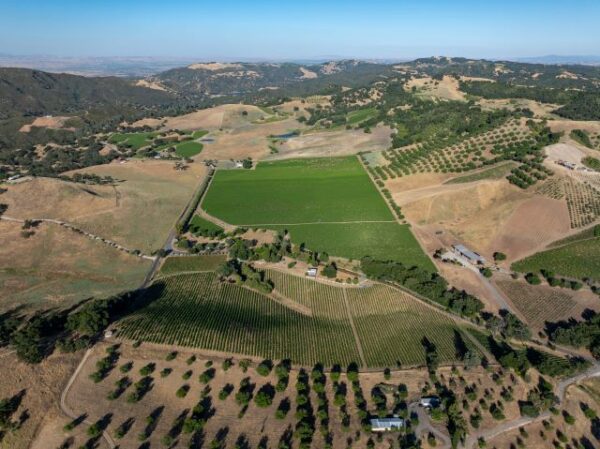 Vineyard estate in Paso Robles hits the market