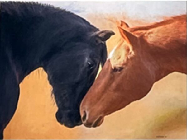 New photography exhibit opens at Odyssey Café in Paso Robles