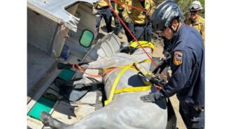 Large animal rescue drill held in North County