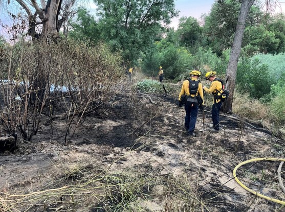 Vegetation fire contained in Salinas Riverbed