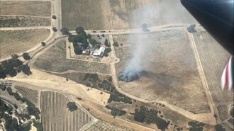 Firefighters contain vineyard fire in rural Paso Robles