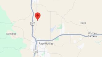 Juvenile driver arrested in felony hit and run