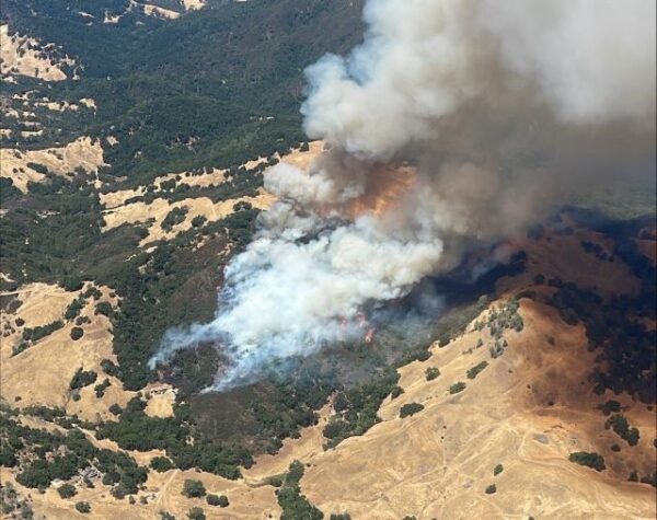 Firefighters battle 88-acre wildfire between Paso Robles and Cambria
