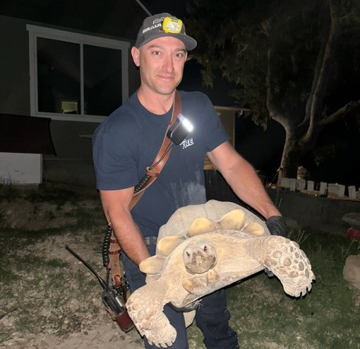 Firefighters assist with tortoise in rural Templeton