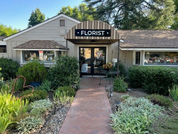 Alyssa Reid is wearing the striped shirt, Michelle Cardenas is wearing the black shirt. Thank you!