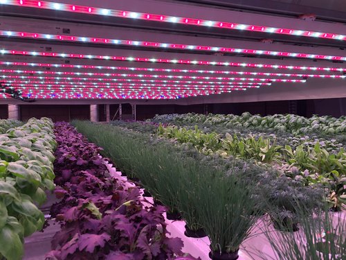 Paso Robles-based indoor vertical farming company begins shipping products