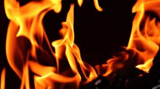 Police arrest juvenile for setting brush fire
