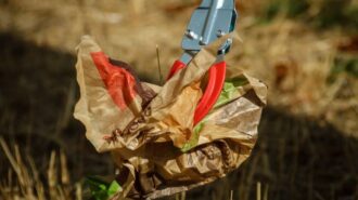 Volunteers needed for Templeton, Paso Robles dual cleanup day event